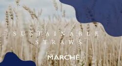 Blue Marche - Marche Blue-digital