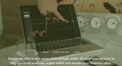 Blockchain Wallet Development Services - Dappbrew-illustrateur