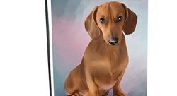 61EoyY1YWmL._SX466_.jpg - doggieoftheday-illustrateur