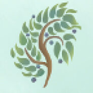 Katherine Holloway-graphiste
