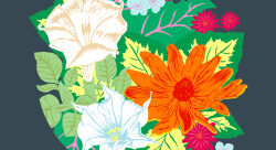 Fleurs Mexicaines - Valeria Trucchia-illustrateur
