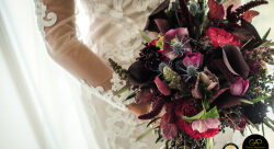 Adelaide-Wedding-22072017-WM-9-of-158.jpg - Glenn Glenn Alderson-photographe