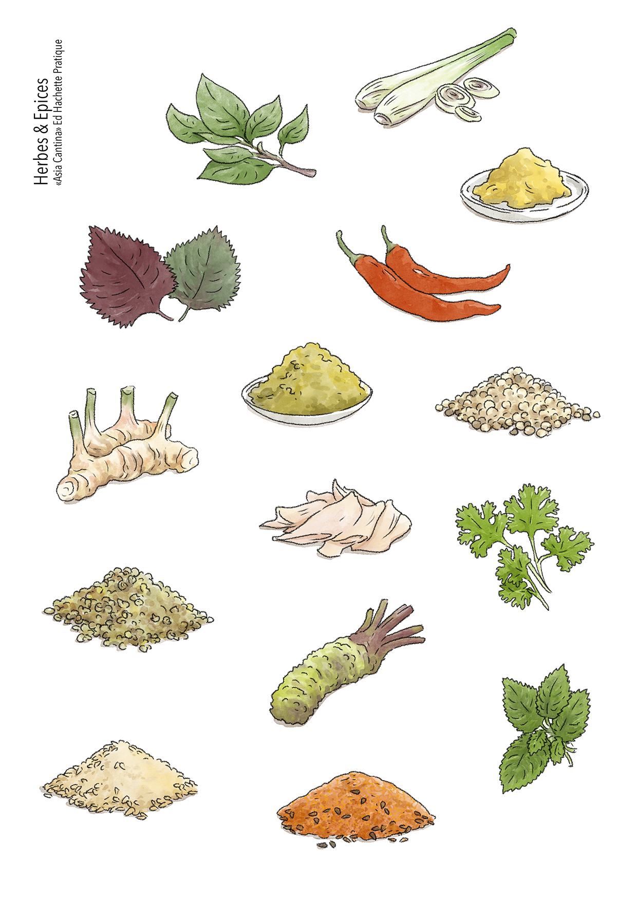 Herbes & Epices.jpg