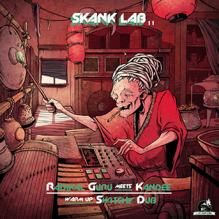 "Skank Lab 11" pochette