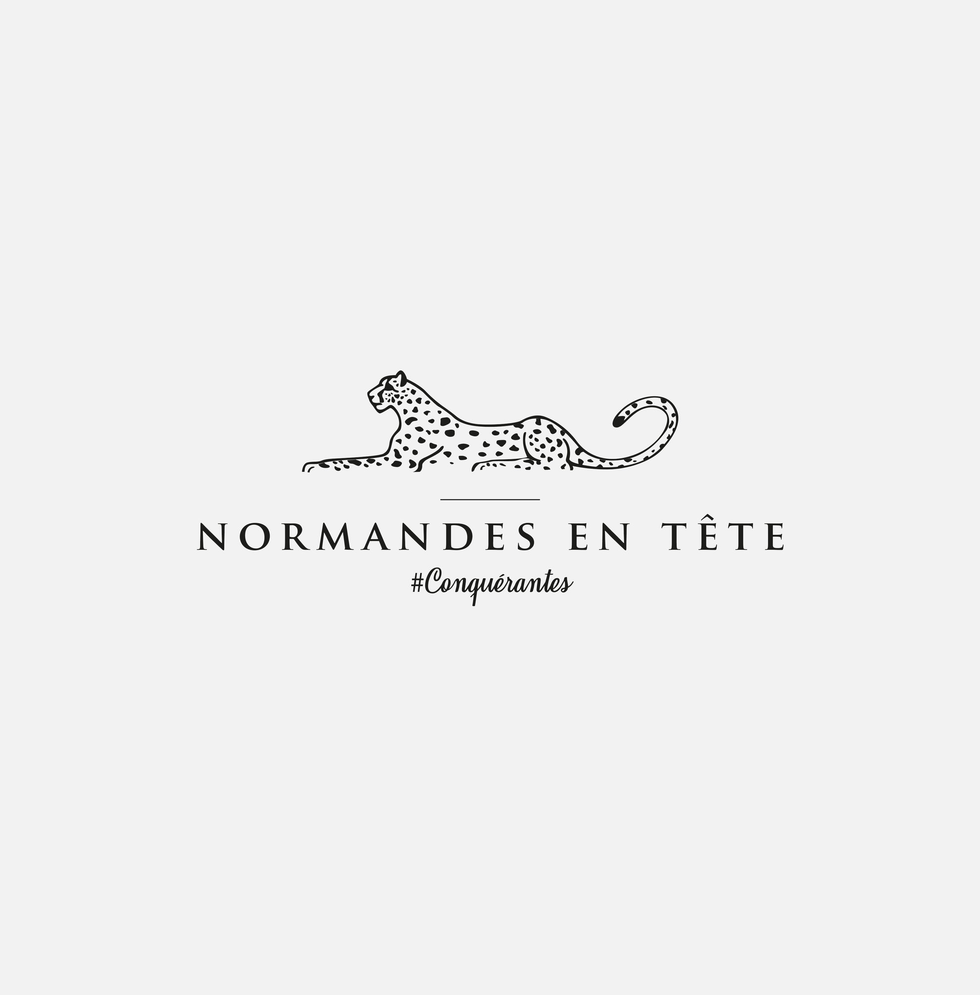 Logo Normandes en tête.jpg