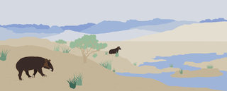 Le Tapir des Andes pour Nidoo