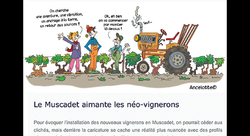 Illustration pour Newsletter - Anne-Gaëlle Ancelotte-illustrateur