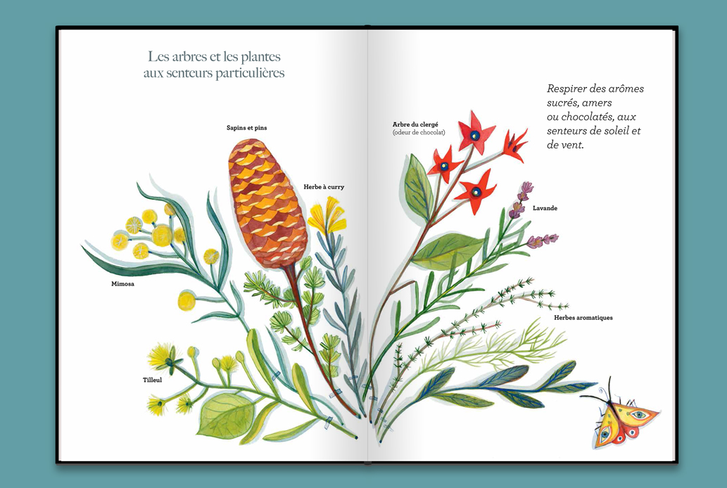 Album L'arboretum- éditions Courtes et Longues