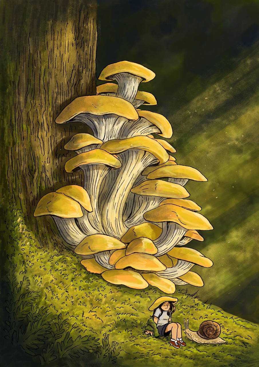 Champignons - Grande.jpeg