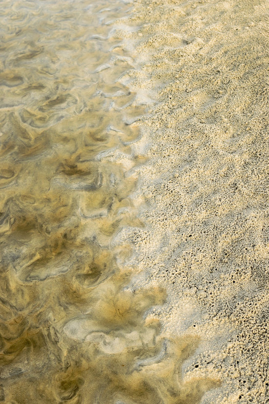 IMG_8013.jpg