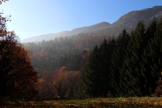 Automne 3
