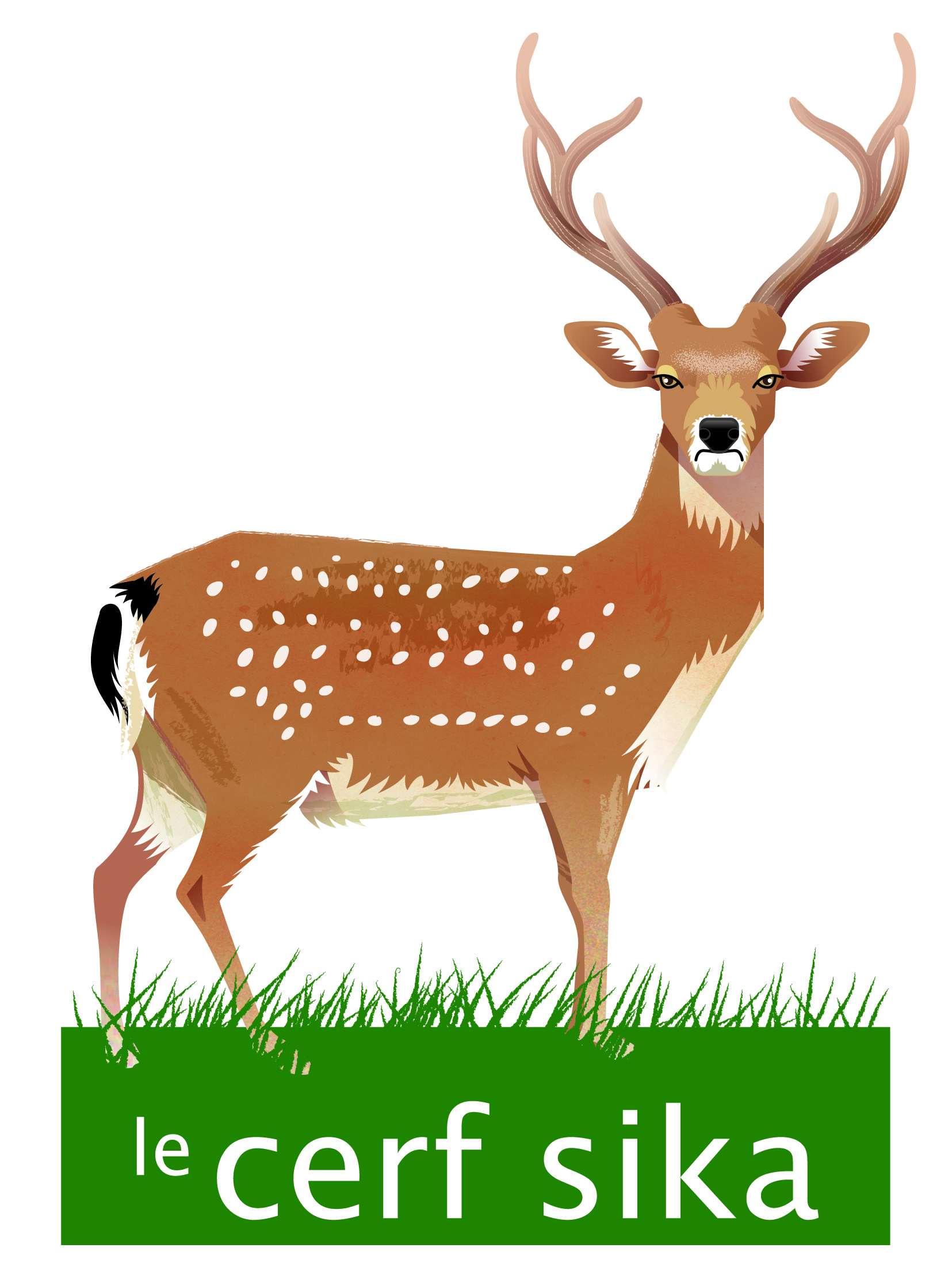 Coulondres-animaux_CERF.jpg