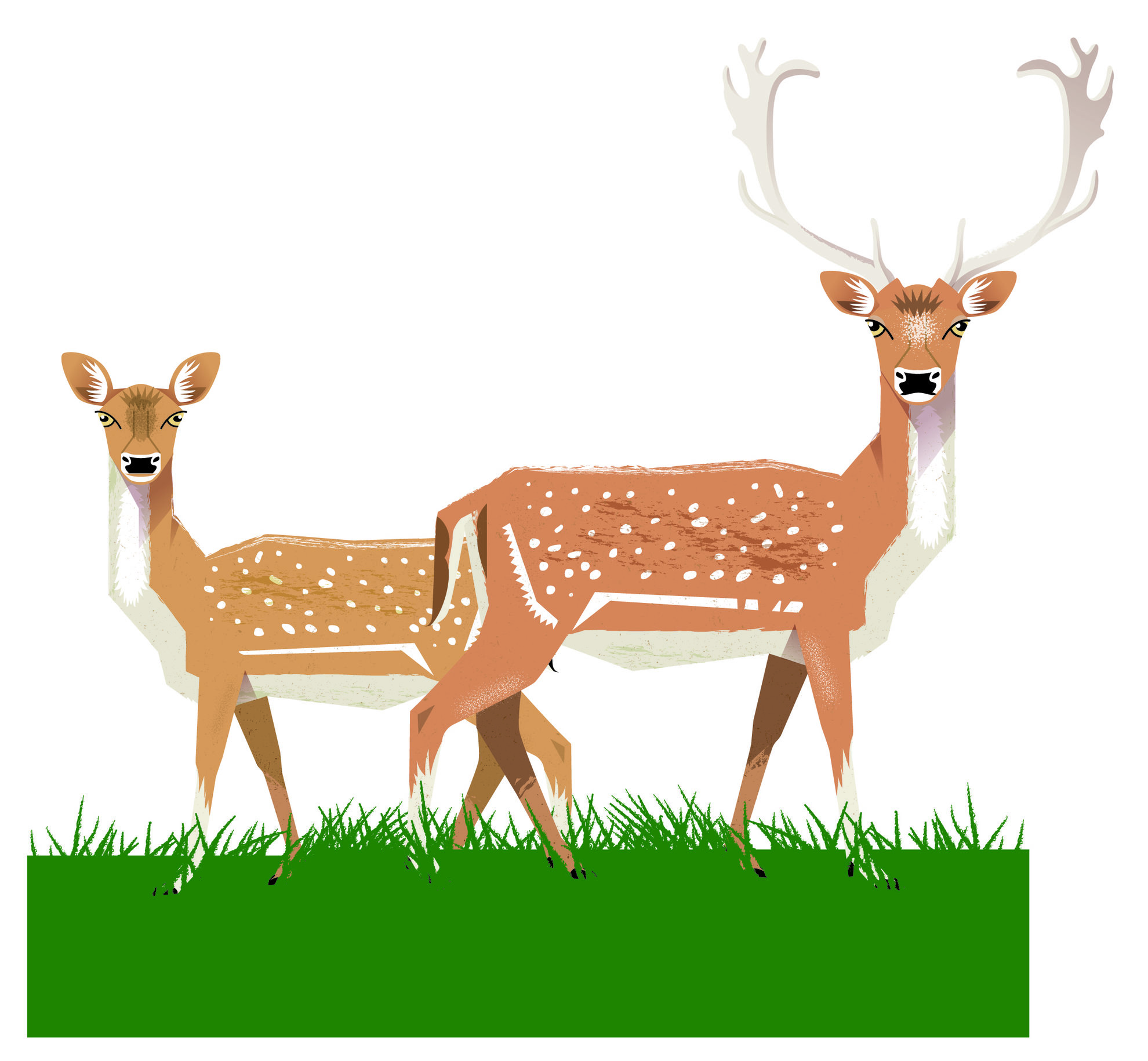 Coulondres-animaux_Couple DAIMS.jpg