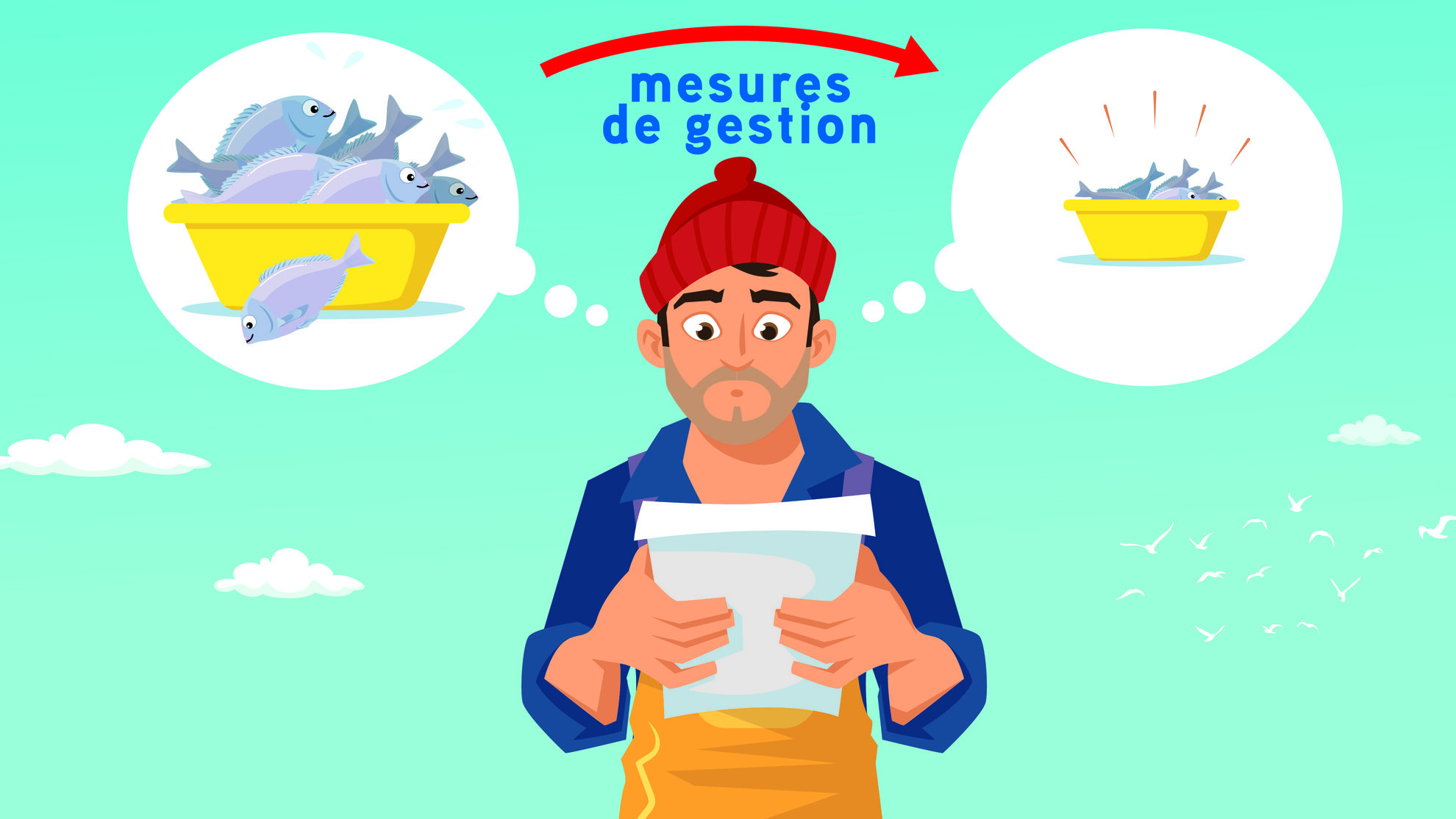 Demerscan-Marin.jpg