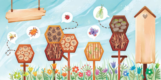 Illustration insectes