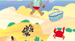 La mer - Aurélie Abolivier-illustrateur jeunesse