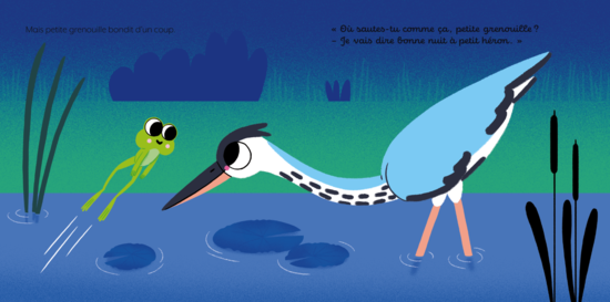 Bonne nuit, petite grenouille !