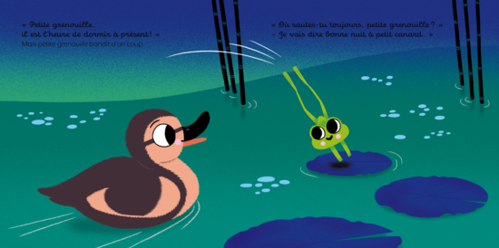 Bonne nuit, petite grenouille !