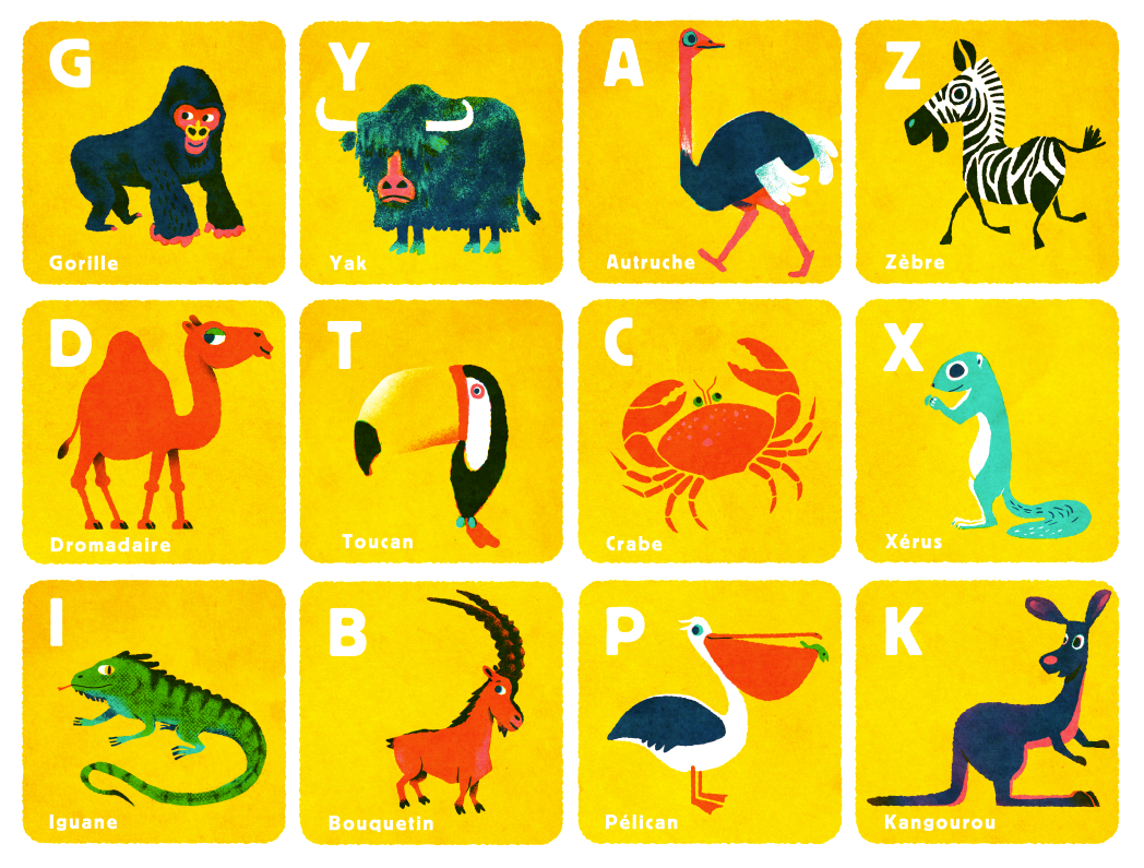 Alphabet animaux