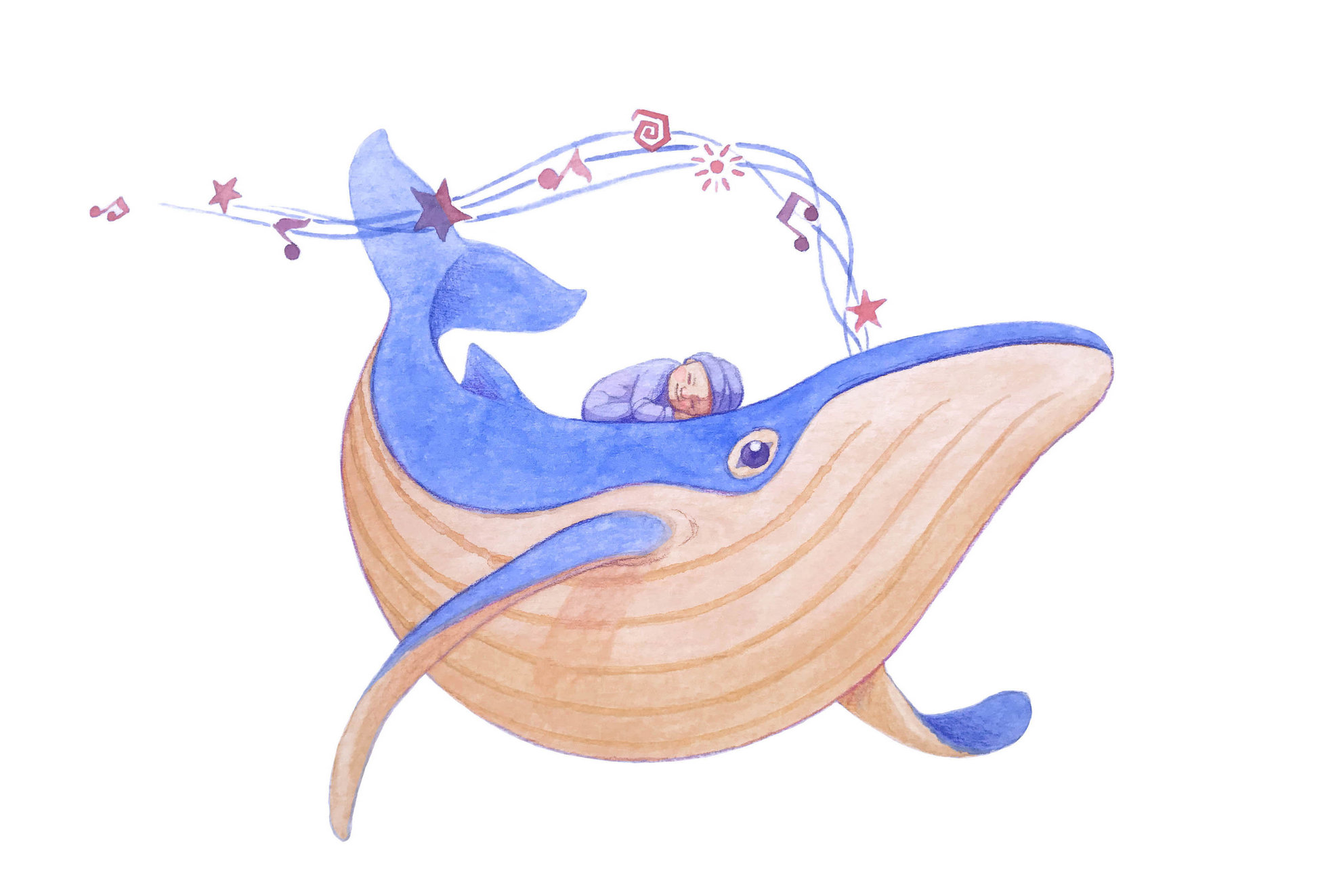 baleine songe