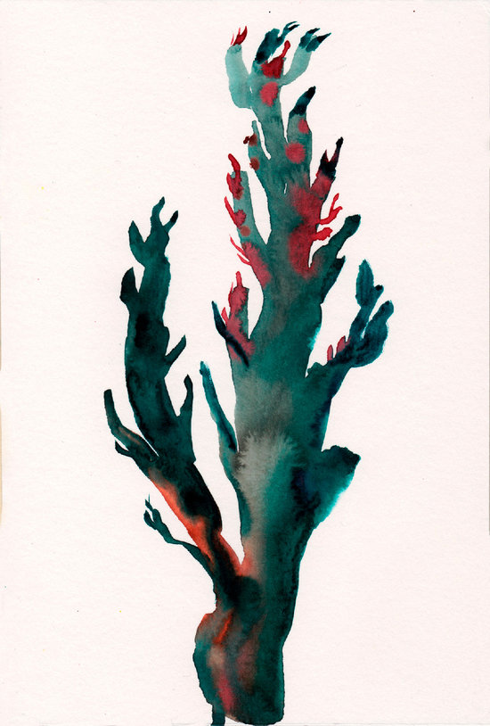 Arbre