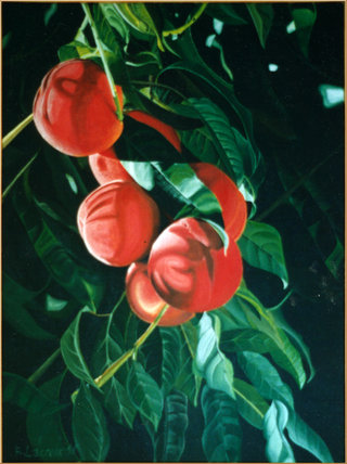 Pêches de la Drôme