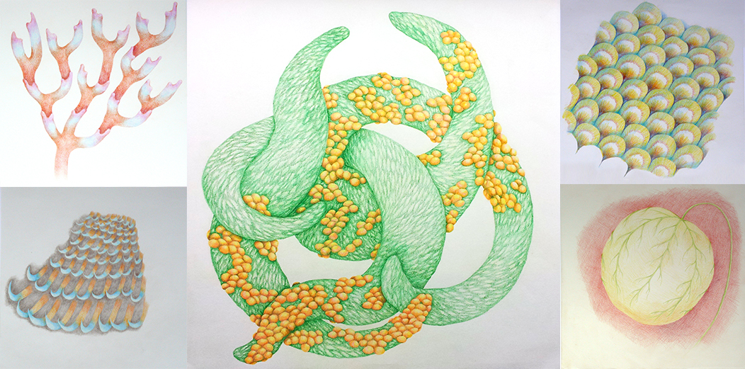 5 dessins de la série Nous, 2013-2015