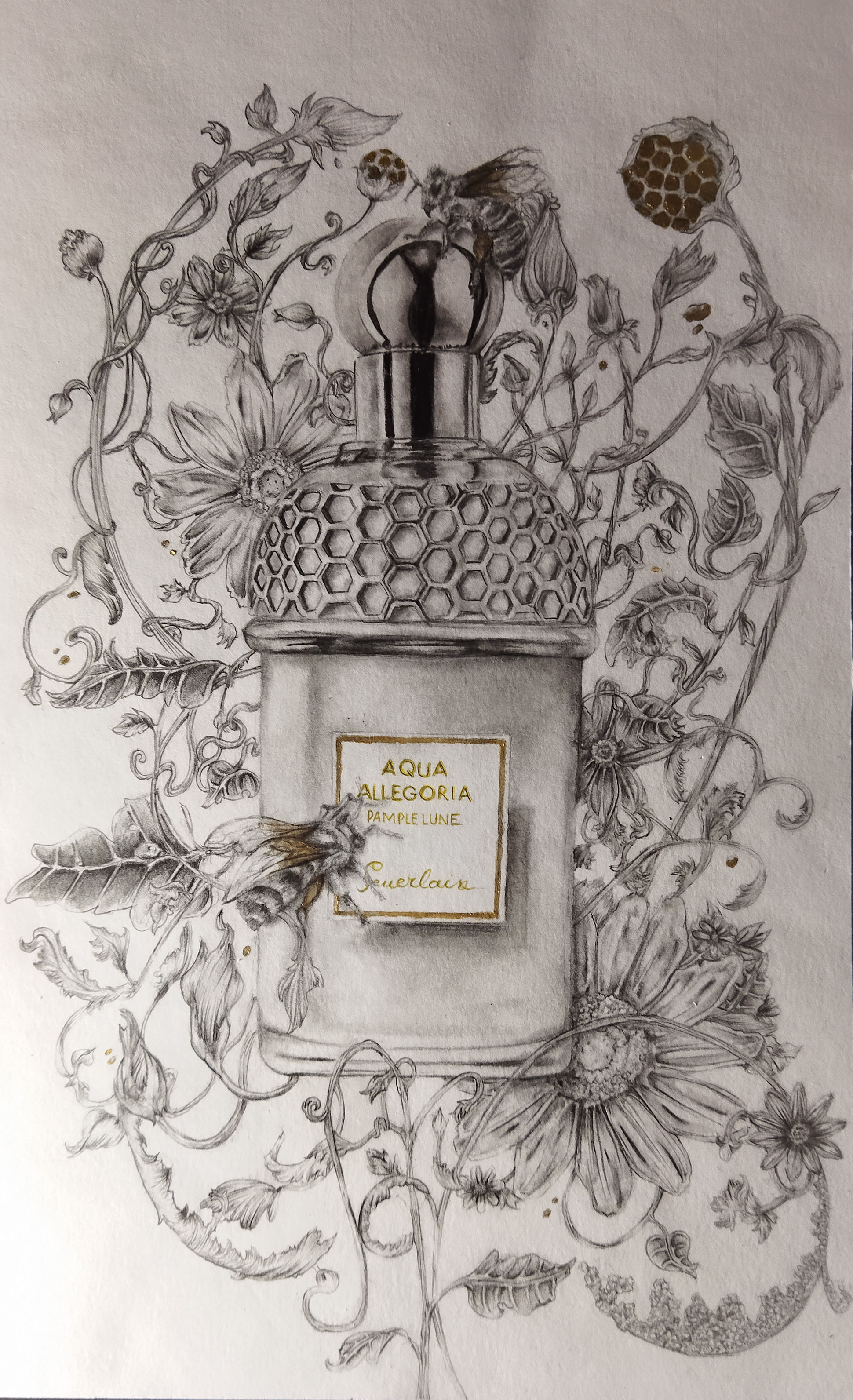 Dessin parfum aqua allegoria Guerlain