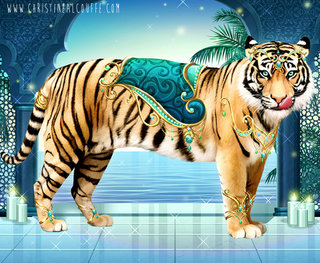 Carnet Créatif Wild Animals - Tigre Maharadjah