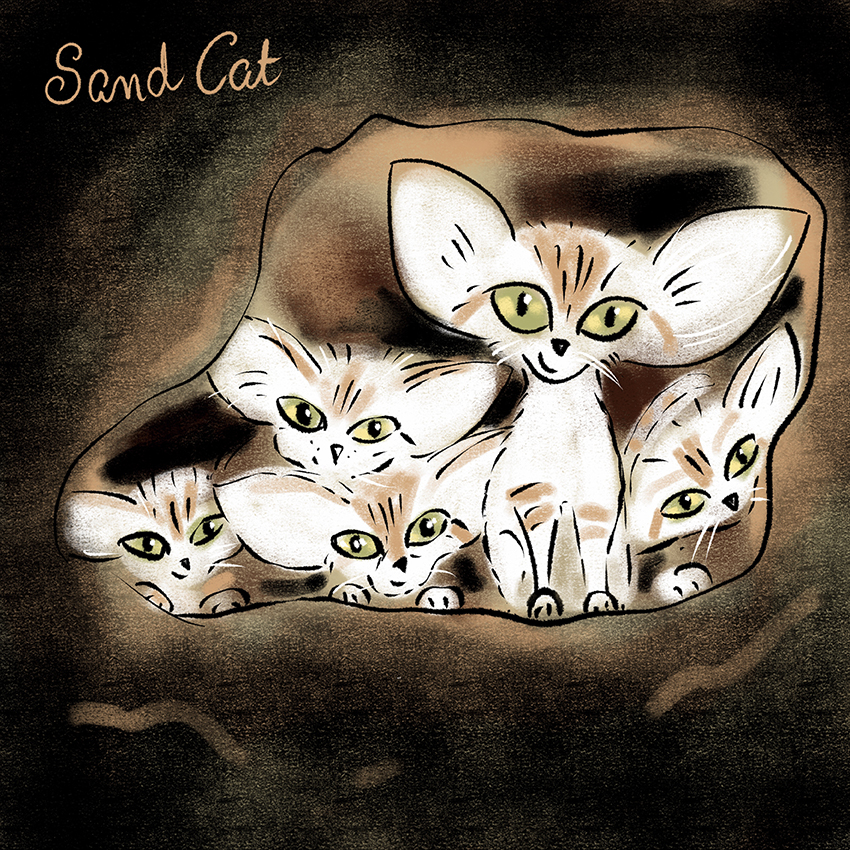 Sand Cats.jpg