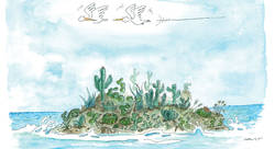 Nouvelles-série-2026-horizontale-2.jpg - Philippe Cruyt-illustrateur