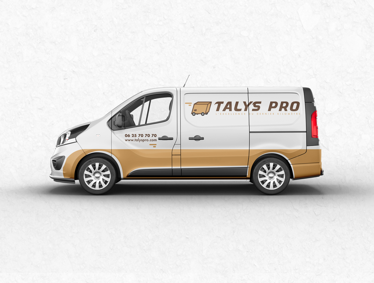 Talys Pro