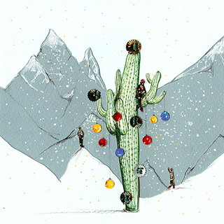 Murgia_Cactus de Noël.jpg
