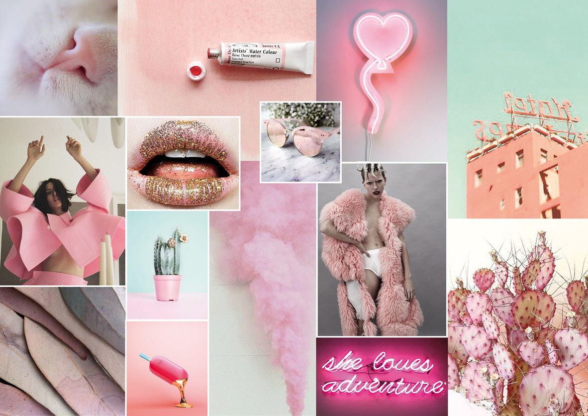 moodboard la vie en rose