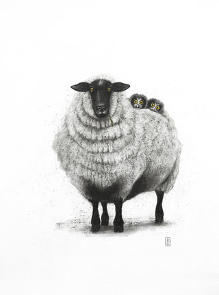 Le mouton et les chouettes boréales