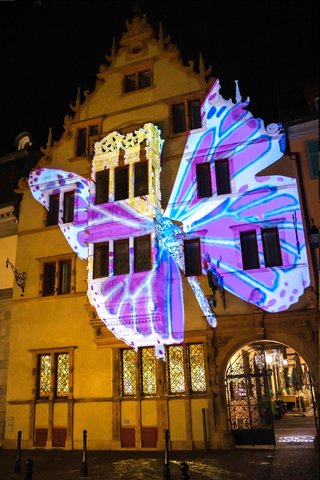 Printemps - Maison de Têtes - Colmar