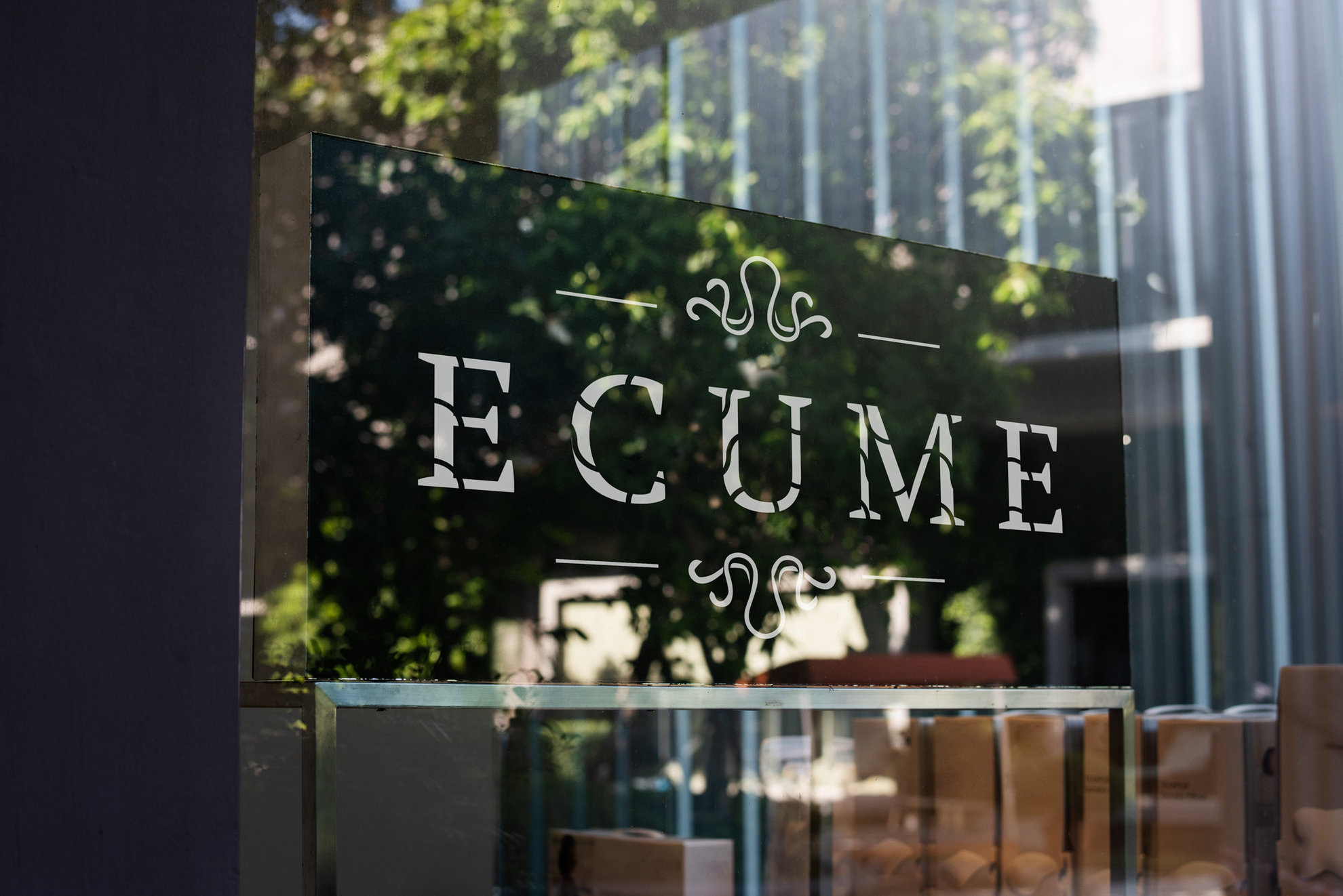 Logotype écume vitrine