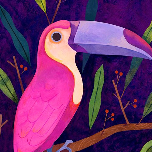 Estelle Rattier-illustrateur