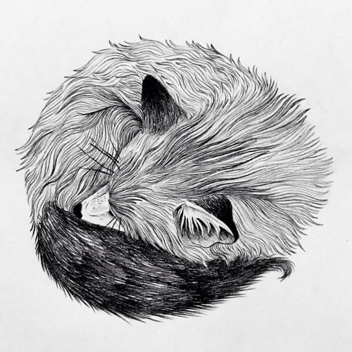lune fanfan