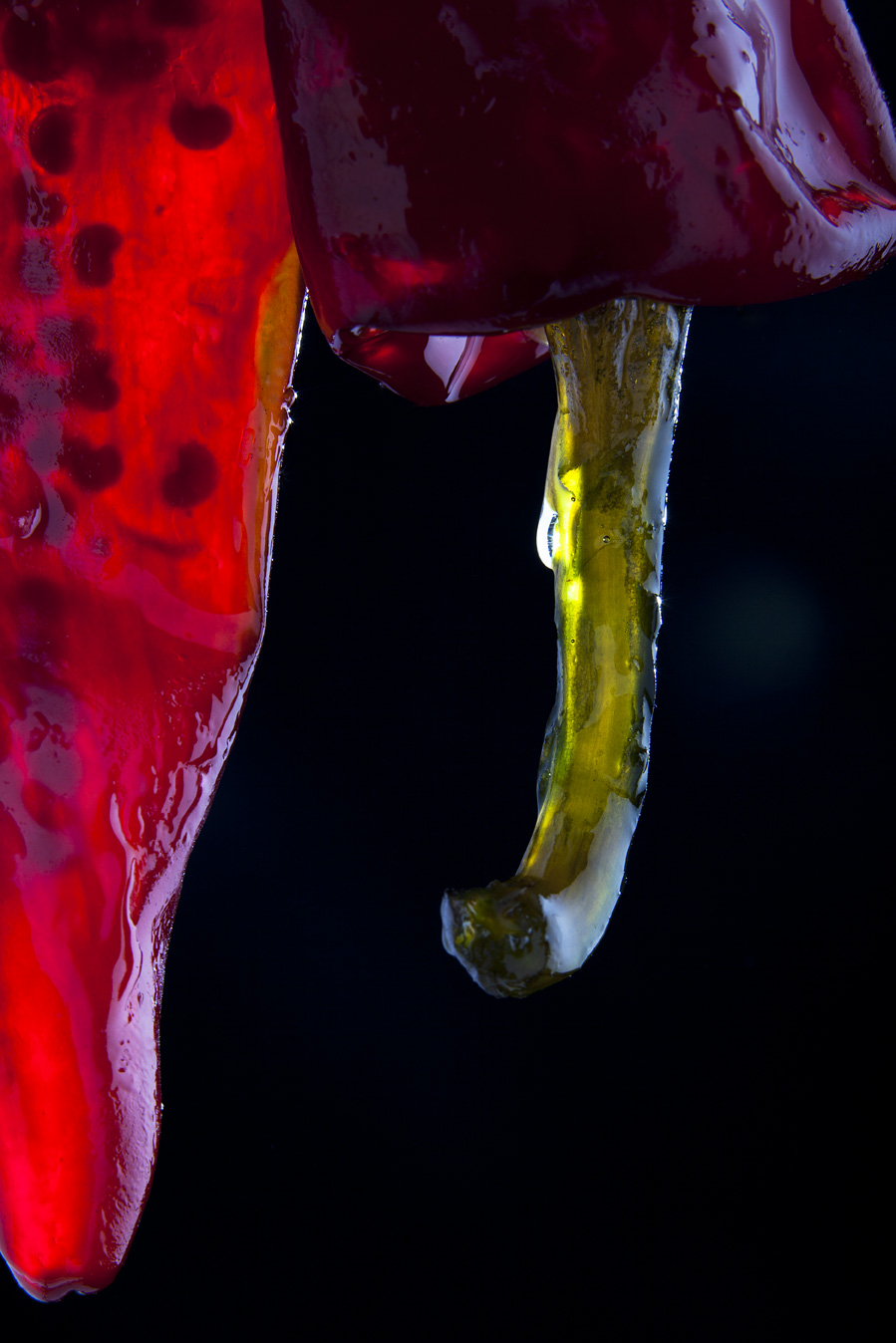 © Matthieu Cellard