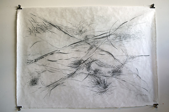 Grand paysage sauvage