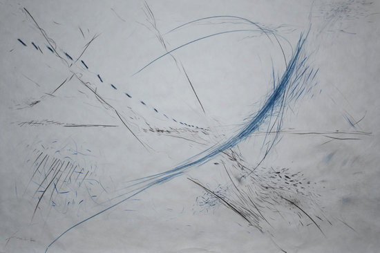 FM_paysagesauvages1_107x80 site.jpg