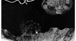  - Gillian Ferreira-plasticien