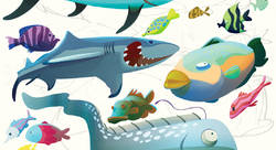 Poissons - Jean-Marc Langue-illustrateur jeunesse