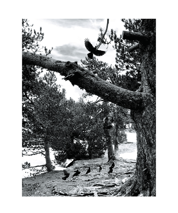 Photo N&B | Projet personnel
