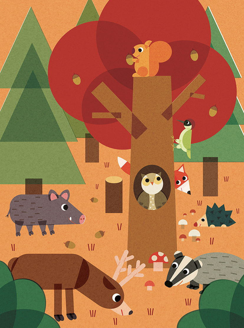 "Mes premiers animaux à écouter" aux Editions AUZOU