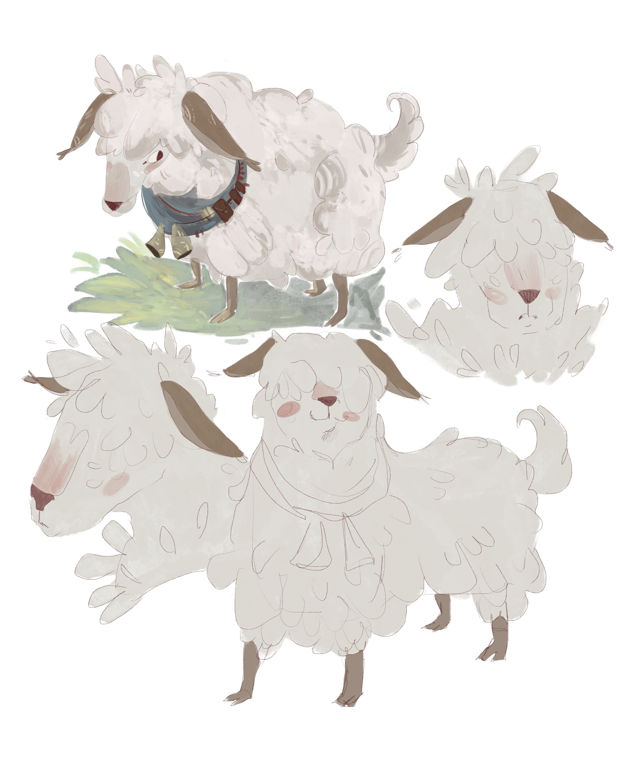 CharaDesign Mouton