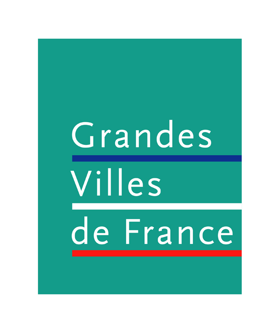 LES GRANDES VILLES DE FRANCE 