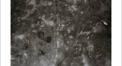 La pulsation / du givre / froissement du washi // The throbbing / of frost / crumping of washi ( le washi est un léger papier japonais) - Jean-Luc NIELS-photographe