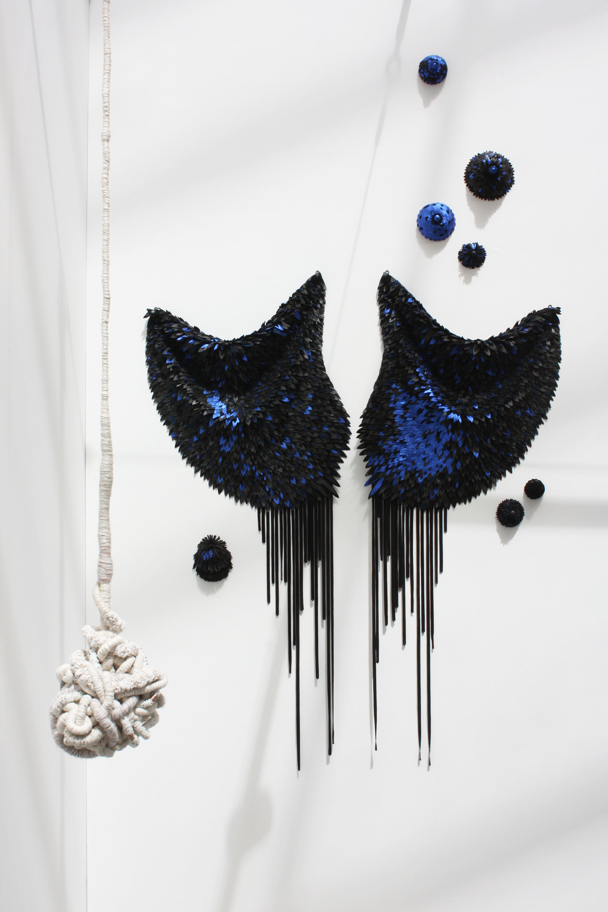 Rémiges  et Satellites